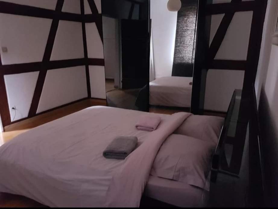 Spacious Appartement Colmar 2 Exterior photo